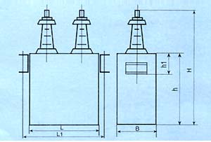 BFF/BFM High voltage shunted capacitor