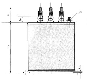 BSMJ self healing low voltage shunted capacitor